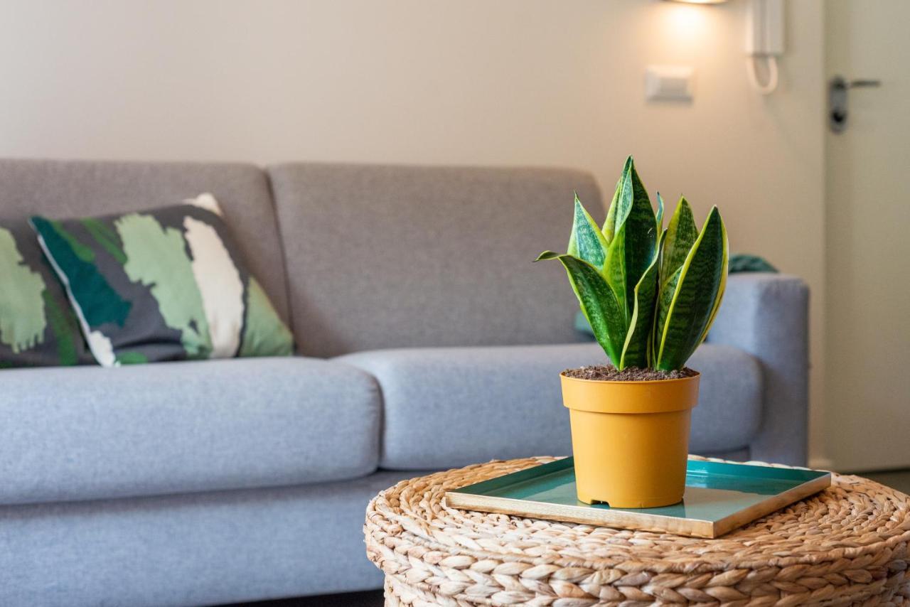 Luxury Seaview Apartment - Mare Slano Exteriér fotografie